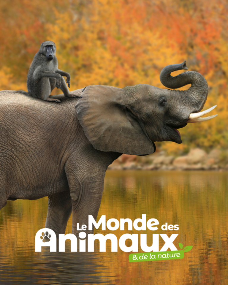 Le Monde Des Animaux Abonnement Libert France Monmag