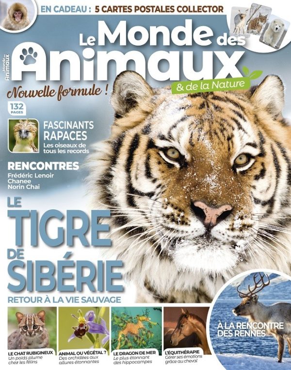 Le Monde des Animaux n°31