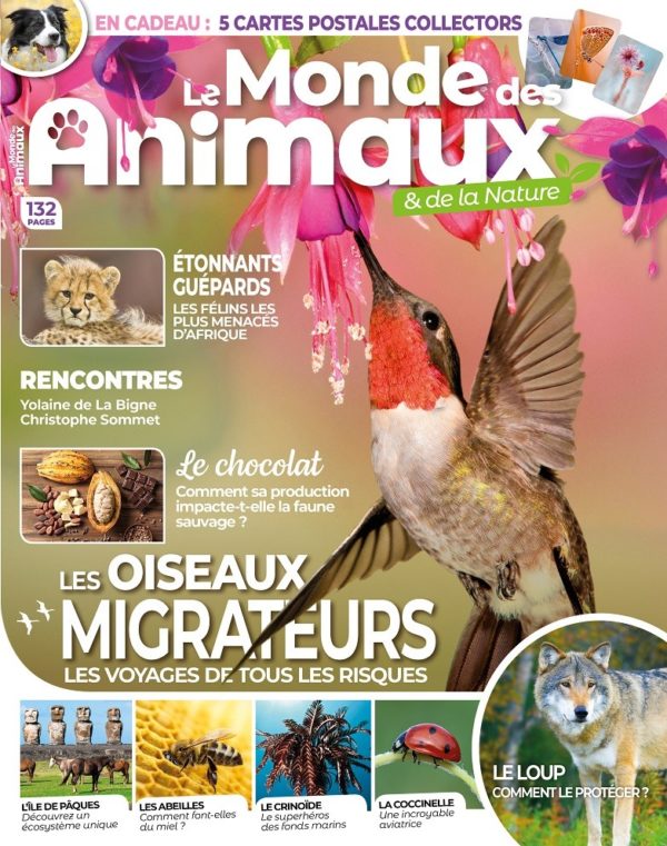 Le Monde des Animaux n°32