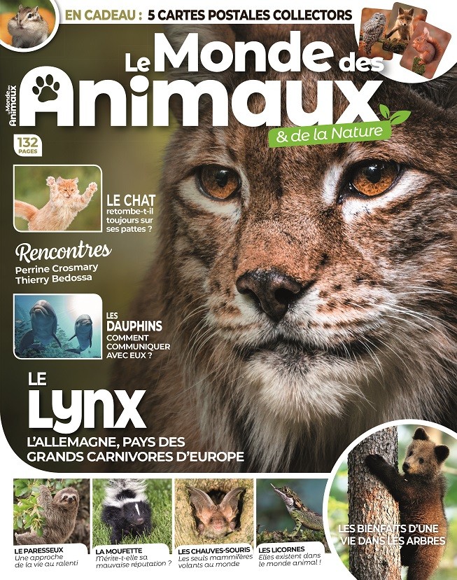Animaux Sauvages  Le Mag des Animaux