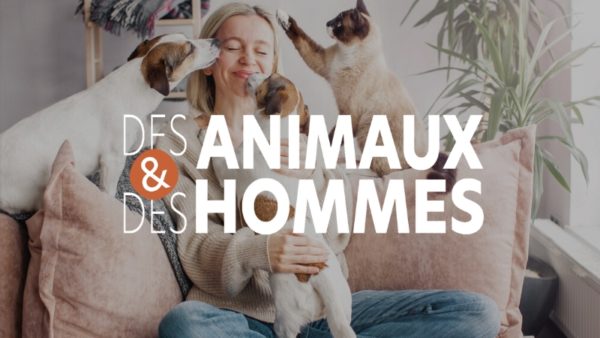 Des animaux et des hommes